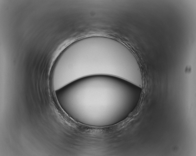 X0000115580104200911101003