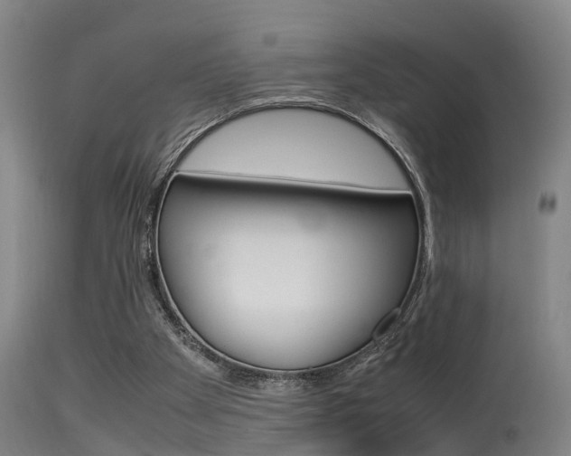 X0000115580105200911101003