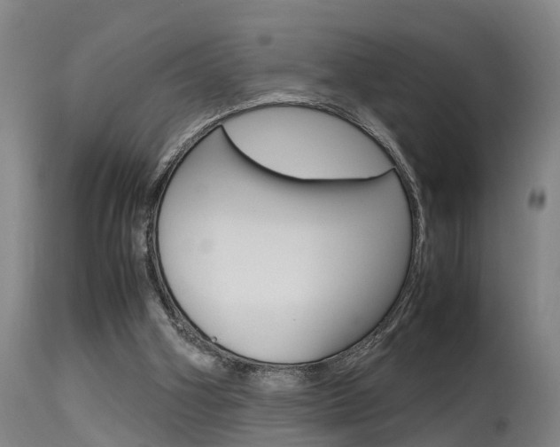 X0000115580106200911101003