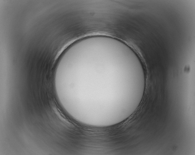 X0000115580108200911101003