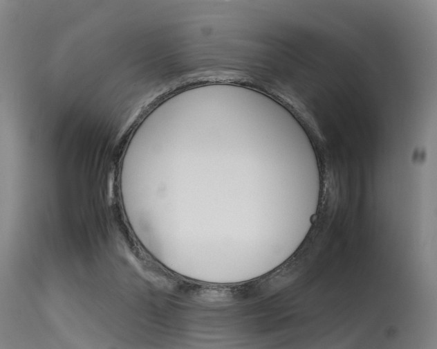 X0000115580110200911101003