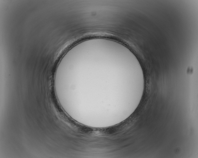 X0000115580111200911101003