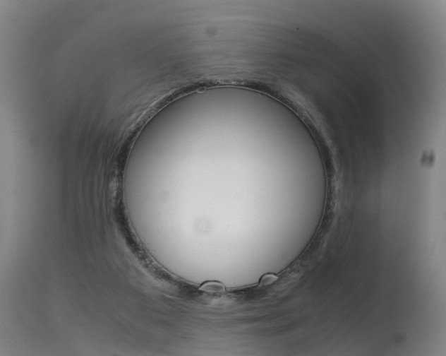 X0000115580113200911101003