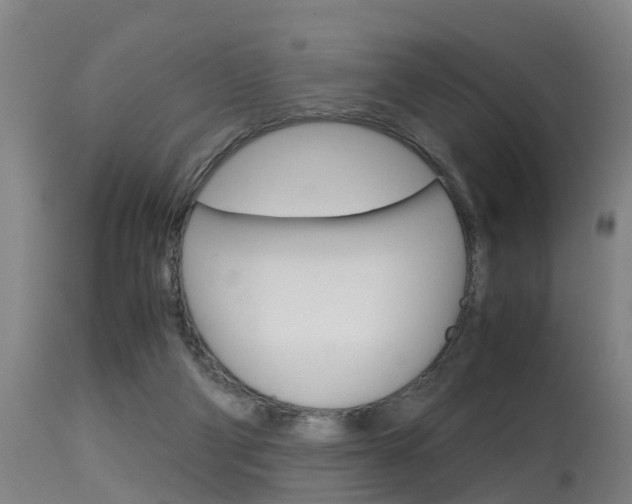 X0000115580114200911101003