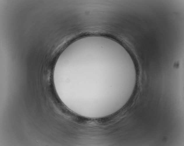 X0000115580115200911101003