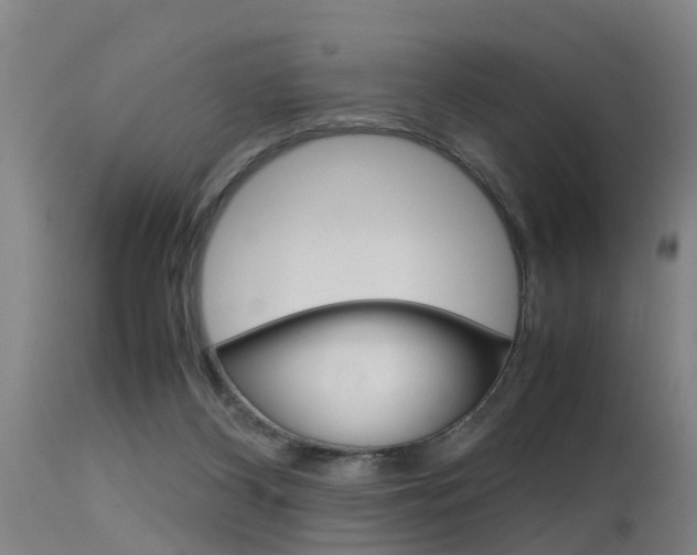 X0000115580116200911101003