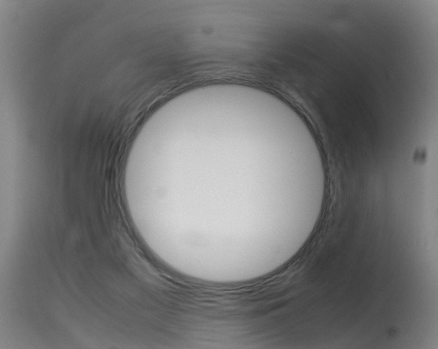 X0000115580117200911101003