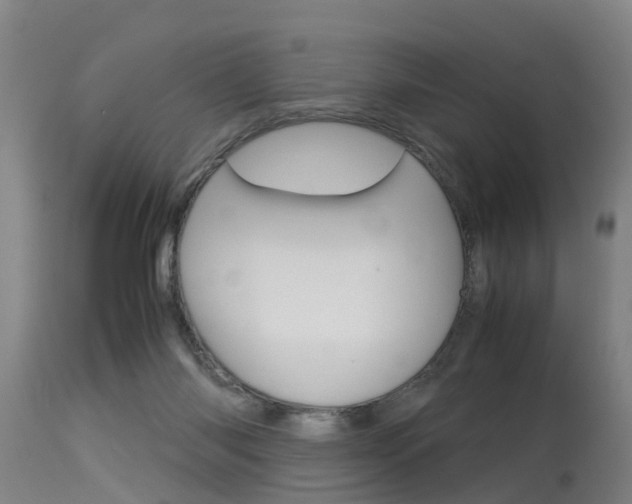 X0000115580118200911101003