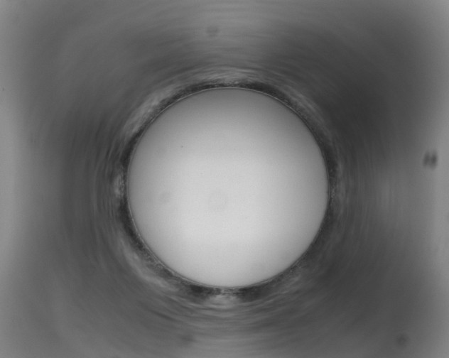 X0000115580119200911101003