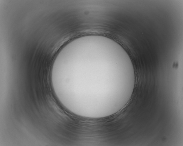 X0000115580120200911101003