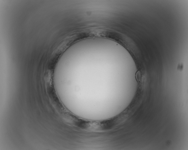 X0000115580121200911101003