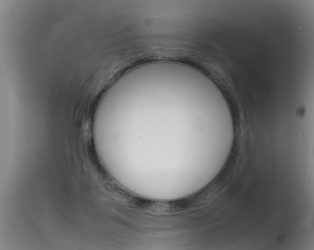 X0000115580123200911101003