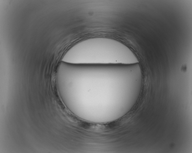 X0000115580125200911101003