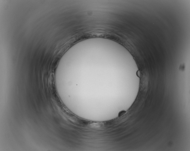 X0000115580126200911101003