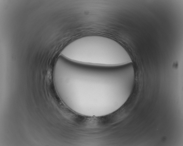 X0000115580127200911101003