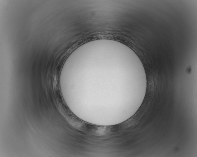 X0000115580130200911101003