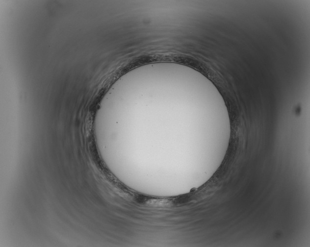 X0000115580133200911101003