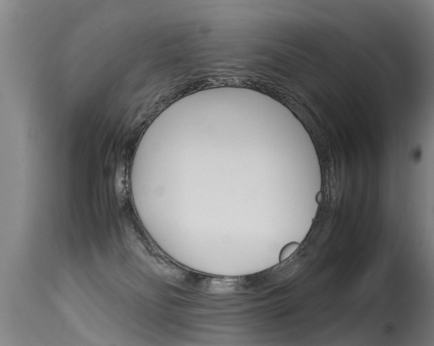 X0000115580134200911101002