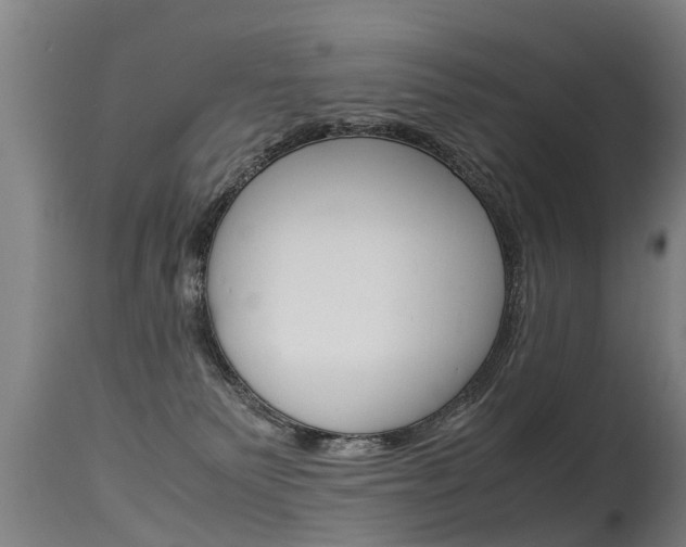 X0000115580135200911101002