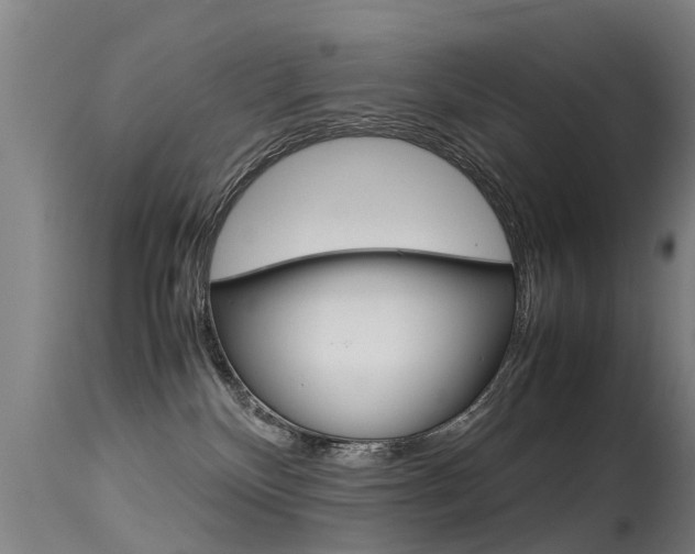 X0000115580136200911101002