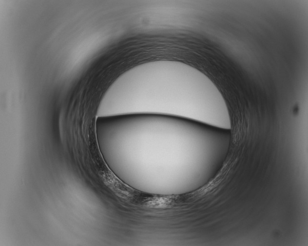 X0000115580140200911101002