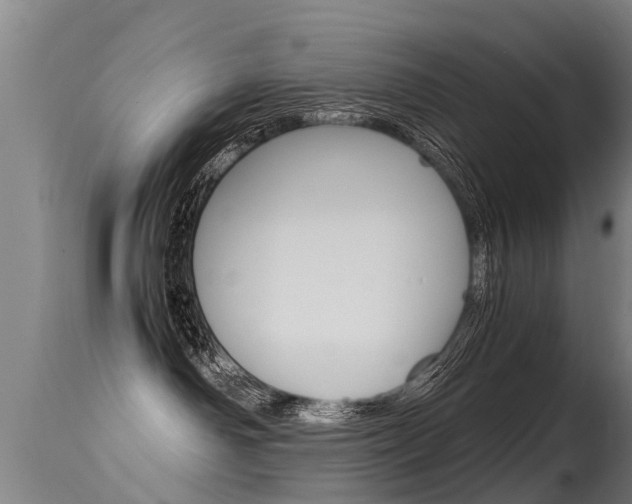 X0000115580142200911101002