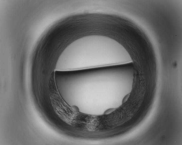 X0000115580143200911101002