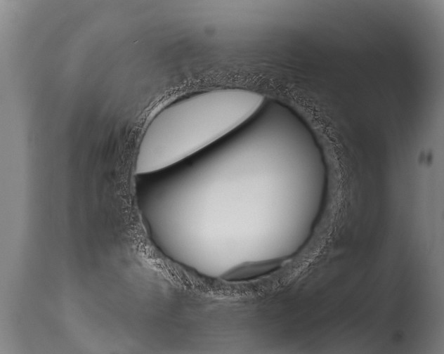 X0000115580144200911101002