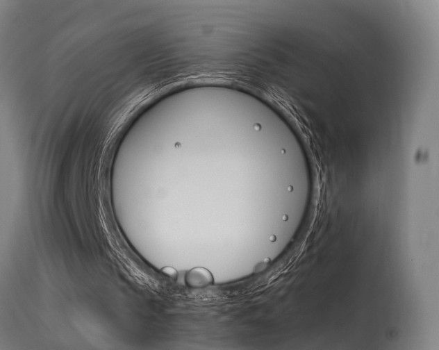 X0000115580145200911101002