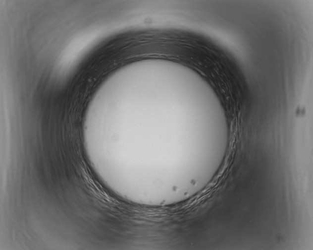 X0000115580146200911101002