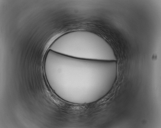 X0000115580147200911101002