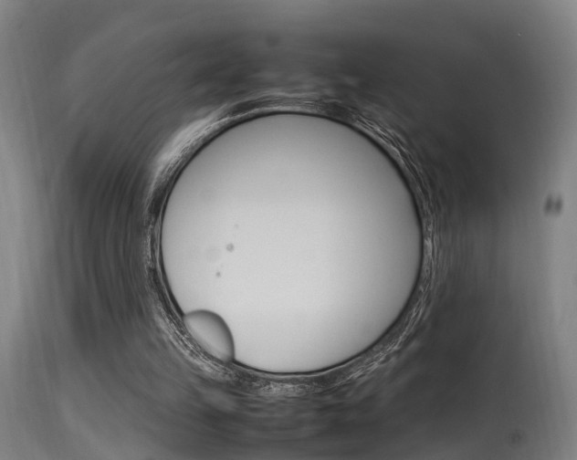 X0000115580149200911101002