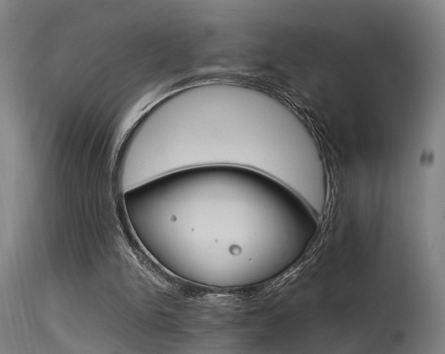 X0000115580150200911101002