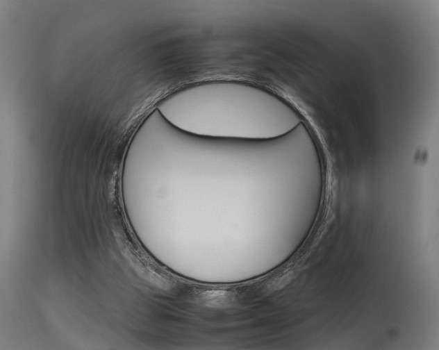 X0000115580153200911101002