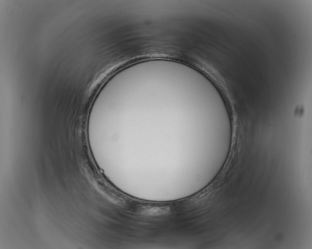 X0000115580155200911101002