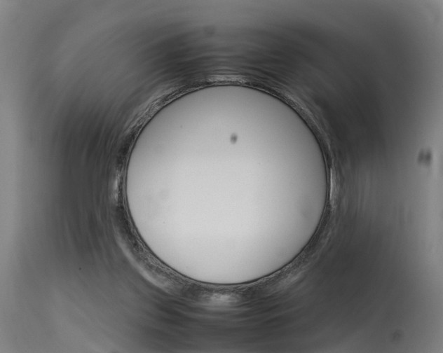 X0000115580157200911101002