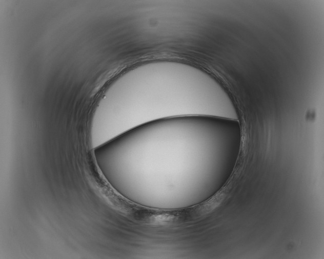 X0000115580158200911101002