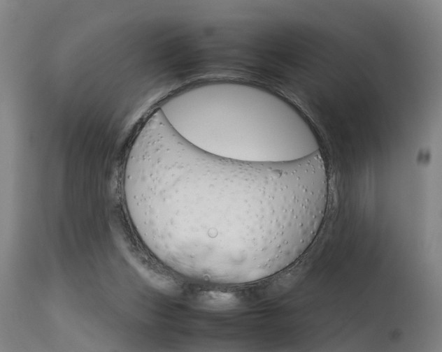 X0000115580159200911101002