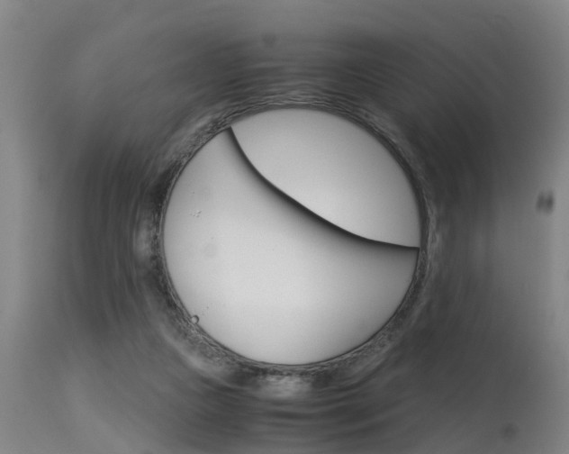 X0000115580161200911101002