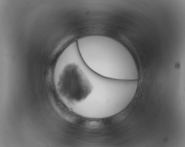 X0000115580163200911101002