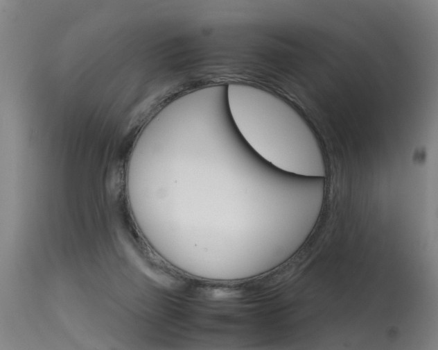 X0000115580165200911101002