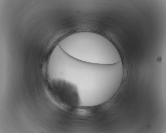 X0000115580167200911101002