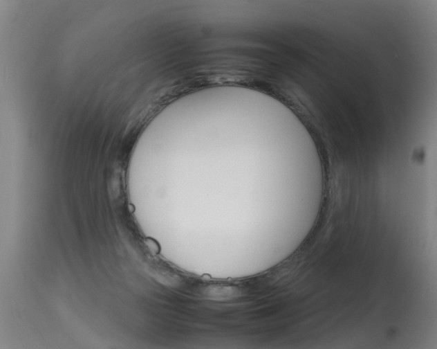 X0000115580169200911101002