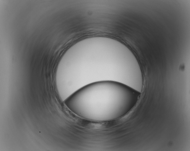 X0000115580170200911101002