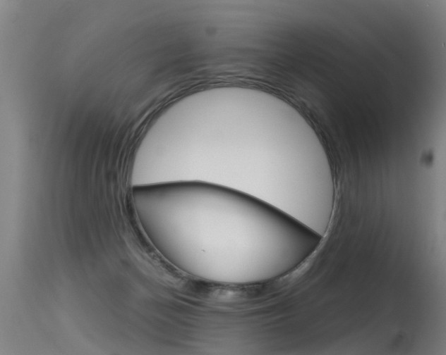 X0000115580174200911101002