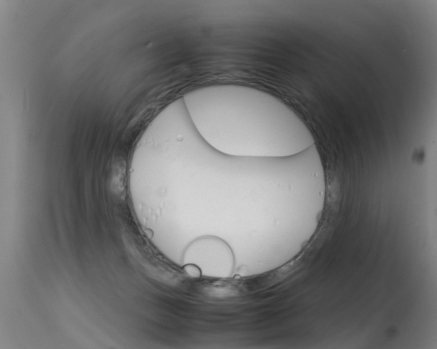 X0000115580175200911101002