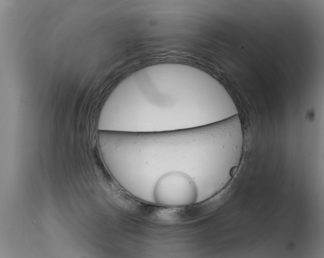 X0000115580178200911101002