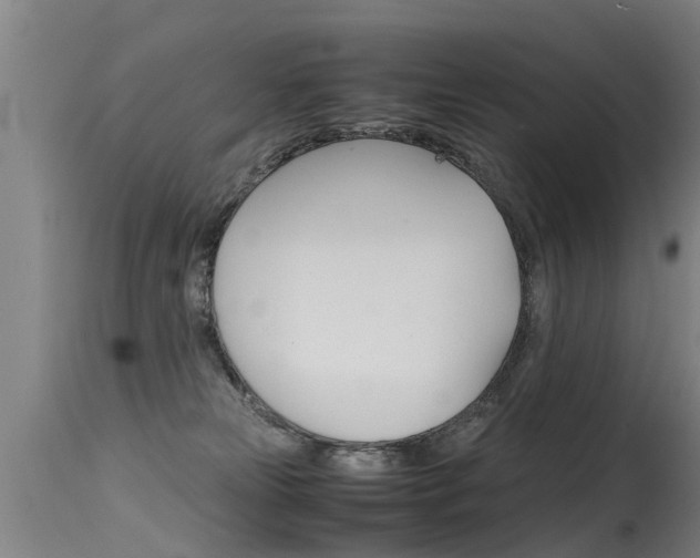 X0000115580181200911101002