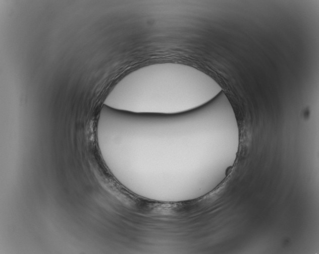 X0000115580182200911101002