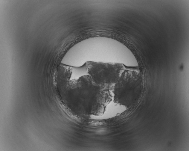 X0000115580185200911101002